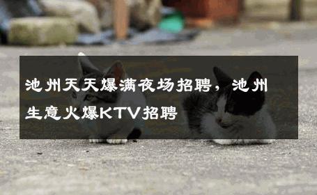 池州天天爆满夜场招聘，池州生意火爆KTV招聘