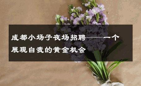 成都小场子夜场招聘——一个展现自我的黄金机会