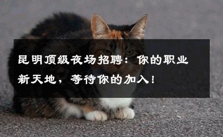 昆明顶级夜场招聘：你的职业新天地，等待你的加入！