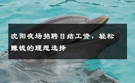 沈阳夜场招聘日结工资，轻松赚钱的理想选择