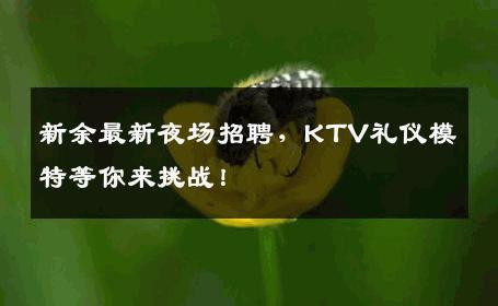 新余最新夜场招聘，KTV礼仪模特等你来挑战！