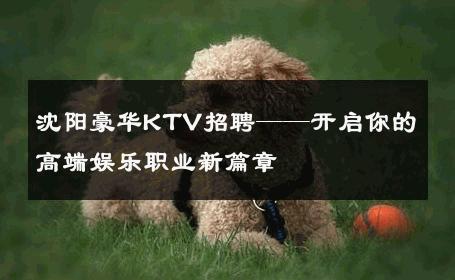 沈阳豪华KTV招聘——开启你的高端娱乐职业新篇章