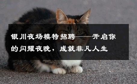 银川夜场模特招聘——开启你的闪耀夜晚，成就非凡人生