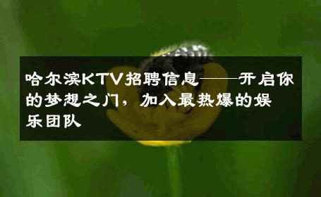 哈尔滨KTV招聘信息——开启你的梦想之门，加入最热爆的娱乐团队