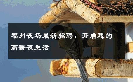 福州夜场最新招聘，开启您的高薪夜生活