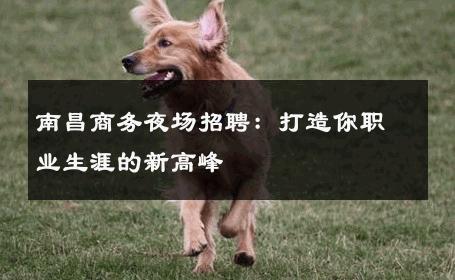 南昌商务夜场招聘：打造你职业生涯的新高峰