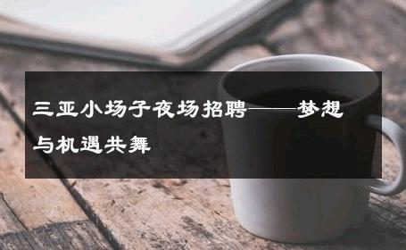 三亚小场子夜场招聘——梦想与机遇共舞