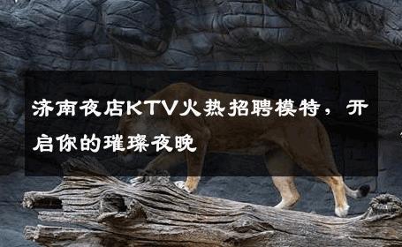济南夜店KTV火热招聘模特，开启你的璀璨夜晚