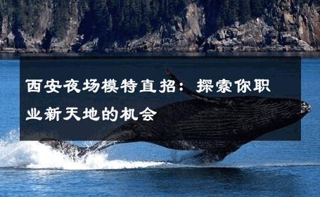 西安夜场模特直招：探索你职业新天地的机会