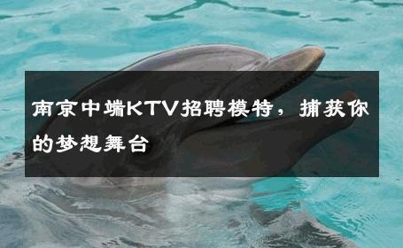 南京中端KTV招聘模特，捕获你的梦想舞台