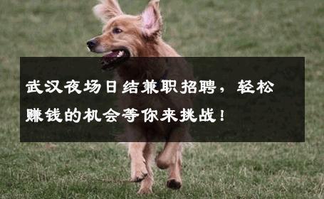 武汉夜场日结兼职招聘，轻松赚钱的机会等你来挑战！
