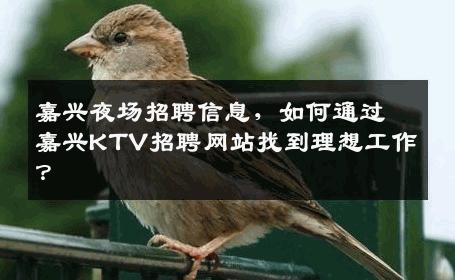嘉兴夜场招聘信息，如何通过嘉兴KTV招聘网站找到理想工作？