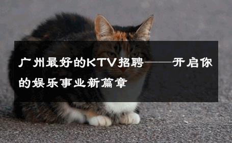 广州最好的KTV招聘——开启你的娱乐事业新篇章