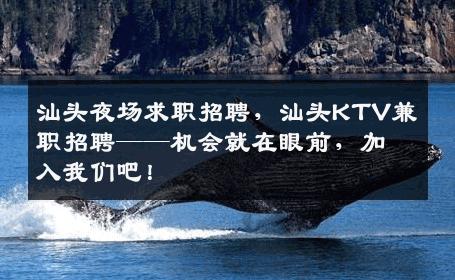 汕头夜场求职招聘，汕头KTV兼职招聘——机会就在眼前，加入我们吧！