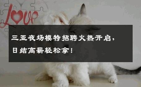三亚夜场模特招聘火热开启，日结高薪轻松拿！