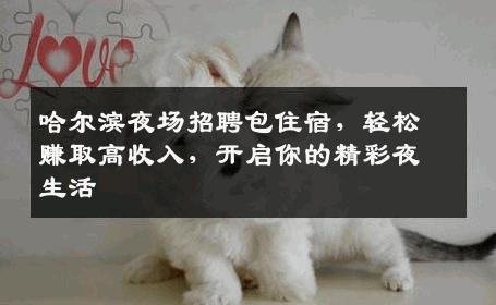 哈尔滨夜场招聘包住宿，轻松赚取高收入，开启你的精彩夜生活