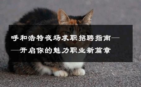 呼和浩特夜场求职招聘指南——开启你的魅力职业新篇章