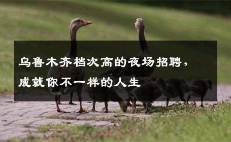 乌鲁木齐档次高的夜场招聘，成就你不一样的人生