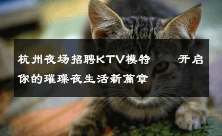 杭州夜场招聘KTV模特——开启你的璀璨夜生活新篇章