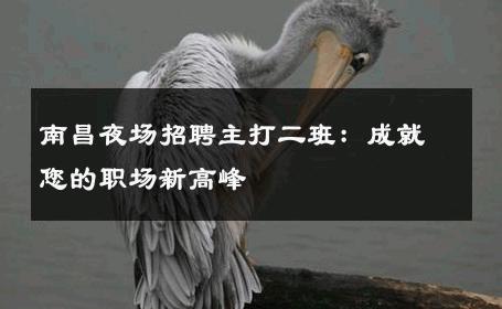 南昌夜场招聘主打二班：成就您的职场新高峰