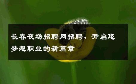 长春夜场招聘网招聘，开启您梦想职业的新篇章
