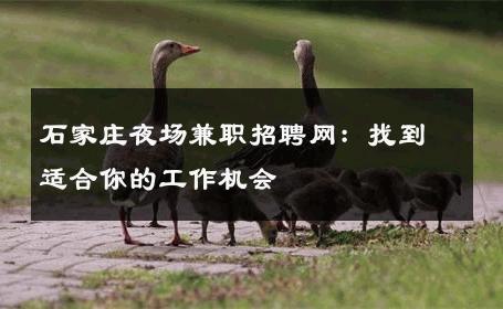 石家庄夜场兼职招聘网：找到适合你的工作机会
