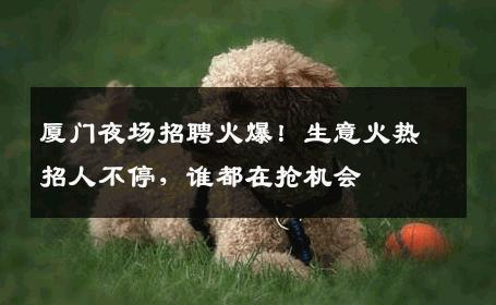 厦门夜场招聘火爆！生意火热招人不停，谁都在抢机会