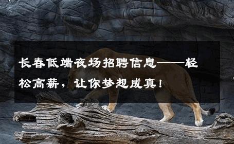 长春低端夜场招聘信息——轻松高薪，让你梦想成真！