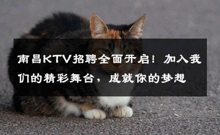 南昌KTV招聘全面开启！加入我们的精彩舞台，成就你的梦想