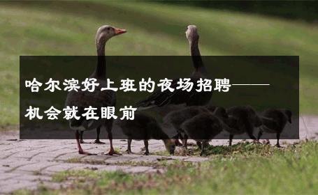 哈尔滨好上班的夜场招聘——机会就在眼前