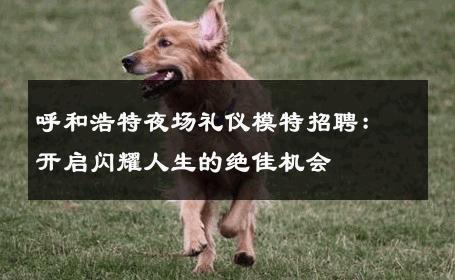 呼和浩特夜场礼仪模特招聘：开启闪耀人生的绝佳机会