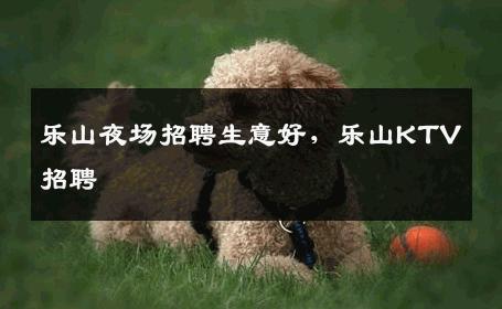 乐山夜场招聘生意好，乐山KTV招聘