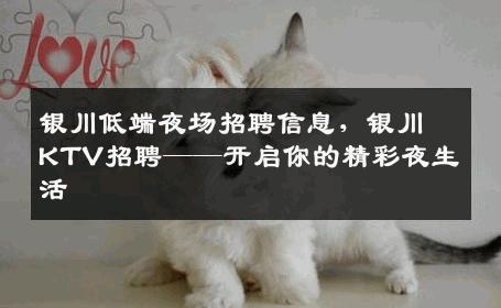 银川低端夜场招聘信息，银川KTV招聘——开启你的精彩夜生活