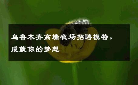 乌鲁木齐高端夜场招聘模特，成就你的梦想