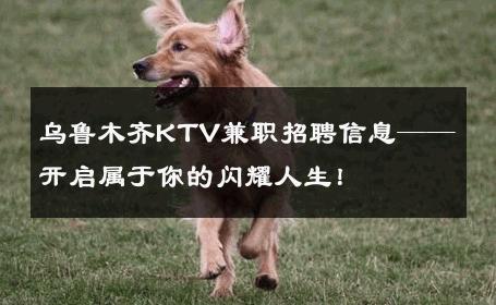 乌鲁木齐KTV兼职招聘信息——开启属于你的闪耀人生！