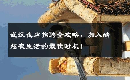 武汉夜店招聘全攻略，加入酷炫夜生活的最佳时机！