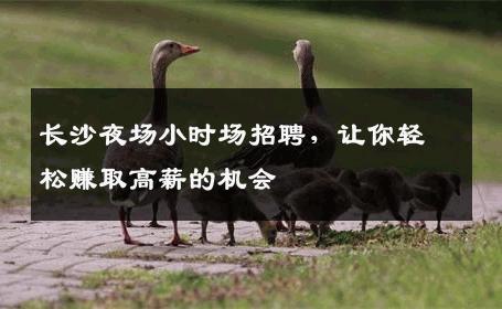 长沙夜场小时场招聘，让你轻松赚取高薪的机会