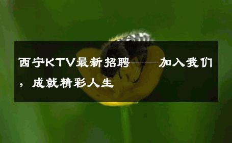 西宁KTV最新招聘——加入我们，成就精彩人生