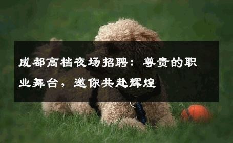 成都高档夜场招聘：尊贵的职业舞台，邀你共赴辉煌