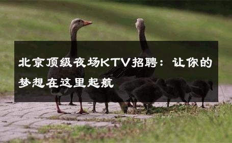 北京顶级夜场KTV招聘：让你的梦想在这里起航