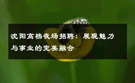 沈阳高档夜场招聘：展现魅力与事业的完美融合