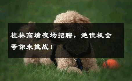 桂林高端夜场招聘，绝佳机会等你来挑战！