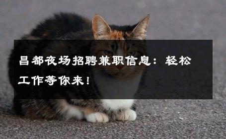 昌都夜场招聘兼职信息：轻松工作等你来！