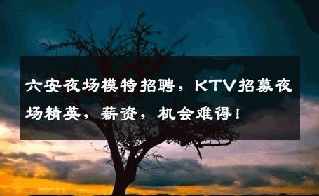 六安夜场模特招聘，KTV招募夜场精英，薪资，机会难得！
