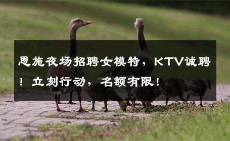 恩施夜场招聘女模特，KTV诚聘！立刻行动，名额有限！