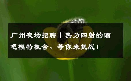 广州夜场招聘丨热力四射的酒吧模特机会，等你来挑战！