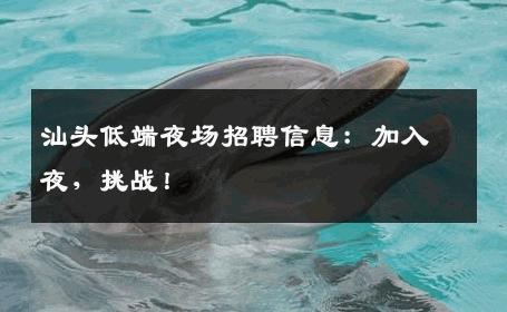汕头低端夜场招聘信息：加入夜，挑战！