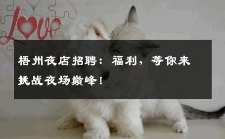 梧州夜店招聘：福利，等你来挑战夜场巅峰！