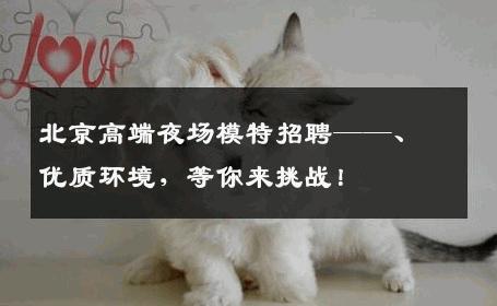 北京高端夜场模特招聘——、优质环境，等你来挑战！