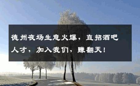 德州夜场生意火爆，直招酒吧人才，加入我们，赚翻天！